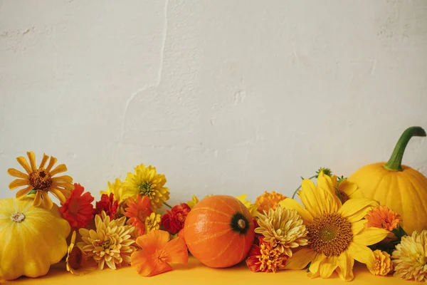 Creative Autumn Still Life Colorful Autumn Flowers Pumpkin Pattypan Squash — Stockfoto