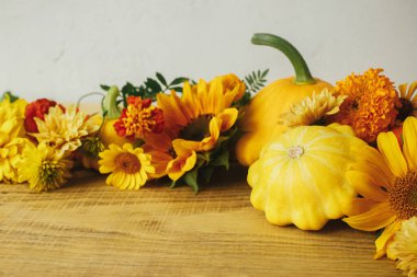 Stylish autumn composition on rustic background. Colorful autumn flowers, pumpkins, pattypan squashes on wooden table. Seasons greeting card, space for text. Happy Thanksgiving! Hello Fall