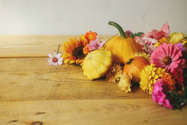 Stylish autumn composition on rustic background. Colorful autumn flowers, pumpkins, pattypan squashes on wooden table. Seasons greeting card, space for text. Happy Thanksgiving! Hello Fall