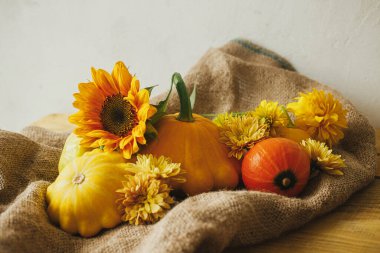 Rustic autumn still life. Colorful autumn flowers, pumpkins, pattypan squashes on burlap on wooden table. Seasons greeting card, space for text. Happy Thanksgiving! Harvest time in countryside