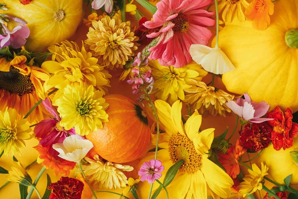 Πολύχρωμα Φθινοπωρινά Λουλούδια Κολοκύθες Pattypan Σκουός Κίτρινο Χαρτί Επίπεδη Θέσει — Φωτογραφία Αρχείου