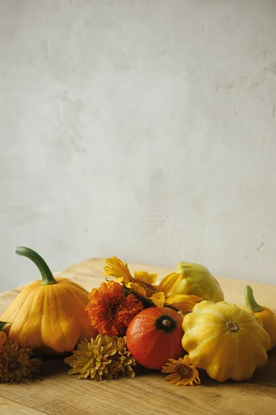 Atmospheric Autumn Still Life Colorful Autumn Flowers Pumpkins Pattypan Squashes —  Fotos de Stock