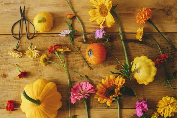 Autumn Rustic Composition Colorful Autumn Flowers Pumpkins Pattypan Squashes Scissors — Stockfoto