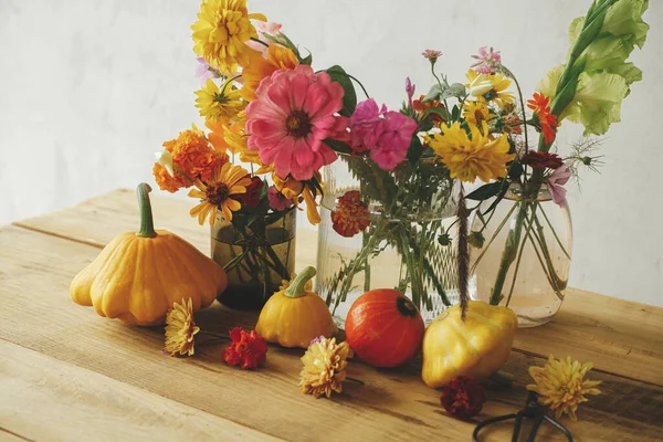 Autumn Moody Still Life Atmospheric Image Colorful Autumn Flowers Pumpkins — Foto de Stock