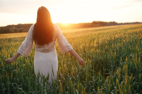 Жінка Ходить Пшеничному Полі Тепле Світло Заходу Сонця Стильна Молода — стокове фото