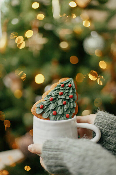 Счастливого Рождества! Праздничное знамя. Руки держат чашку с пряничным печеньем на фоне рождественской елки с огнями. Уютный дом, атмосферное зимнее время
