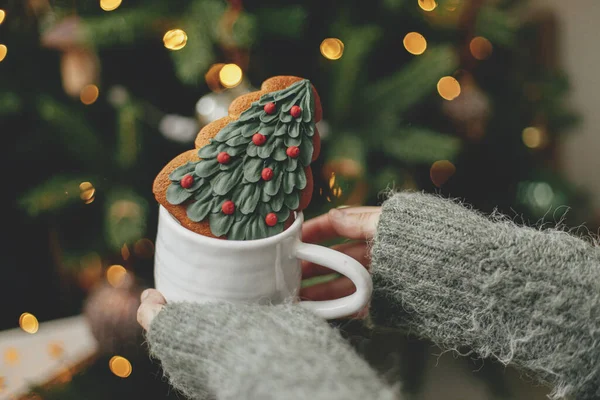 Merry Christmas! Holiday banner. Hands holding cup with christmas tree gingerbread cookie on background of christmas tree with lights. Cozy home, atmospheric winter time