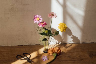 Sonbahar hala hayattır. Sonbahar çiçekleri modern kırsal odada makaslı ve güneşli ışıkta çiçek kurbağası kompozisyonu. Yaratıcı basit çiçek aranjmanı