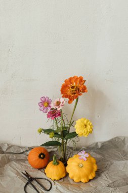 Sonbahar hala hayattır. Kabaklar, makas ve sonbahar çiçekleri modern odadaki kırsal kağıt üzerinde çiçek kurbağa kompozisyonu. Merhaba sonbahar. Şükran Günü kartın kutlu olsun. Yaratıcı basit natürmort