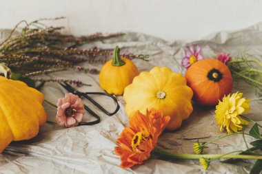 Sonbahar hala hayattır. Balkabakları, makas ve sonbahar çiçekleri modern odadaki kırsal kağıt üzerinde. Merhaba sonbahar. Şükran Günü kartın kutlu olsun. Sonbahar bayrağı