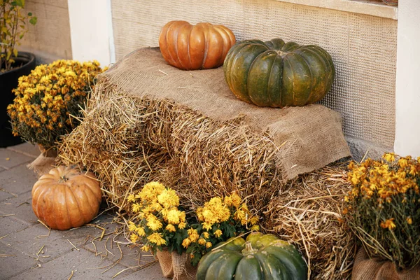 Pumpkins Flowers Rustic Hay Decoration Outdoors Stylish Autumn Decor Exterior — Stock Photo, Image