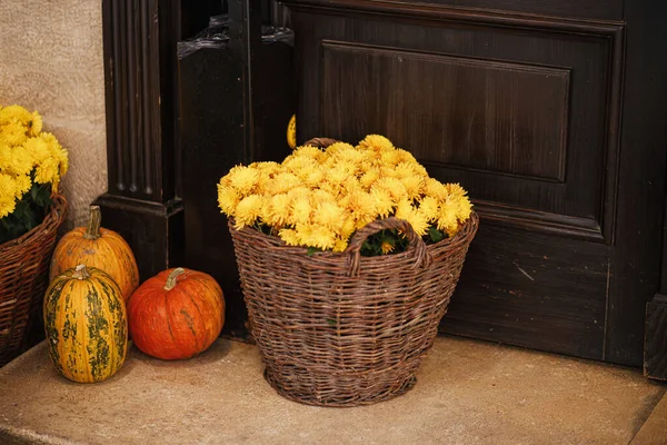 Abóboras Com Flores Decoração Rústica Livre Elegante Decoração Outono Edifício — Fotografia de Stock