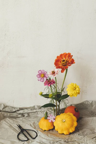 Outono Ainda Vida Abóboras Tesouras Flores Outono Composição Sapo Flor — Fotografia de Stock