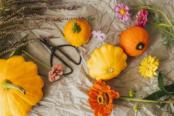 Herbstliches Stillleben Kürbisse Scheren Und Herbstblumen Komposition Auf Rustikalem Papier — Stockfoto