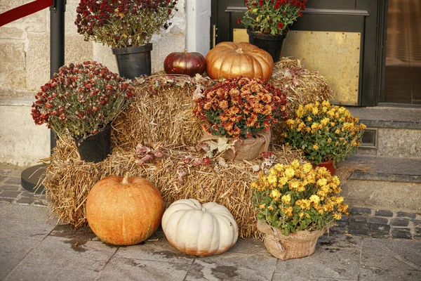花や素朴な干し草の装飾屋外でカボチャ 外観の建物のスタイリッシュな秋の装飾 通りの干し草の上の田舎の装飾が施されたカボチャ ロイヤリティフリーのストック写真