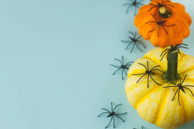 Mutlu Cadılar Bayramı! Mavi arka planda balkabaklarının üzerindeki siyah örümcekler. Cadılar Bayramı hala hayat. Metin için boşluk içeren kart şablonu. Modern minimal sınır