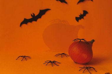 Ürkütücü Cadılar Bayramı hala hayattadır. Mutlu Cadılar Bayramı! Turuncu arka planda örümcek ve yarasa süslemeleri olan korkunç bir balkabağı. Şeker mi şaka mı? Metin için boşluk