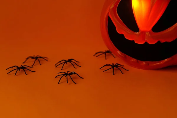Grattis Halloween Skrämmande Jack Lykta Godis Hink Och Spindel Dekorationer — Stockfoto