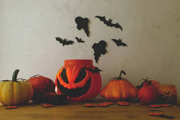 Happy Halloween! Jack of lantern candy bucket, pumpkins, black spiders, bats and ghosts decorations on rustic background in evening room. Spooky Halloween still life. Trick or treat!