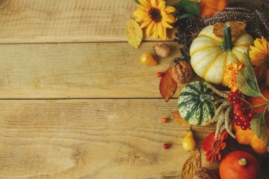 Şükran Günü yatıyordu. Şık balkabakları, sonbahar çiçekleri, kırsal ahşap masada böğürtlen ve fındık. Sonbahar hala hayattır. Mutlu Şükran Günleri Metin için alanı olan mevsimlik tebrik kartı şablonu