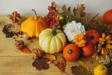 Sonbahar hala hayattır. Şık balkabakları, sonbahar çiçekleri, kırsal ahşap masada böğürtlen ve fındık. Mevsimlik tebrik kartı. Mutlu Şükran Günleri Çiftlikte hasat. Merhaba Fall.