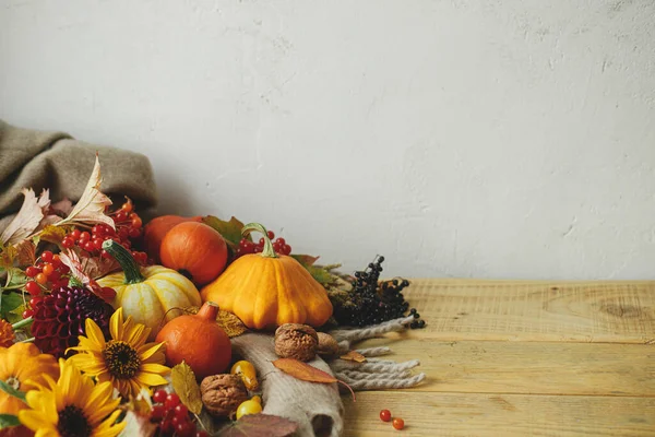 Thanksgiving still life. Stylish pumpkins, autumn flowers, berries, leaves and nuts on cozy warm scarf on rustic wooden table. Autumn composition. Happy Thanksgiving! Seasons greeting card