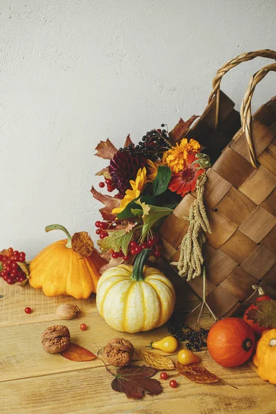 Bodegón Otoño Elegantes Calabazas Flores Otoño Cesta Bayas Frutos Secos — Foto de Stock