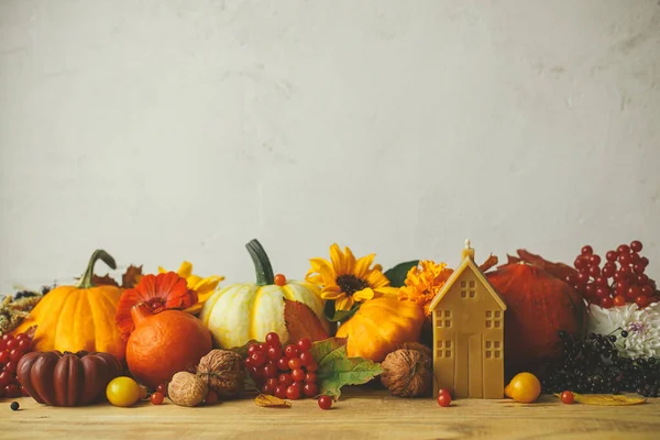 Autumn still life. Stylish pumpkins, autumn flowers, berries, leaves, candle on wooden table in rustic room. Happy Thanksgiving! Seasons greeting card, space for text. Atmospheric banner