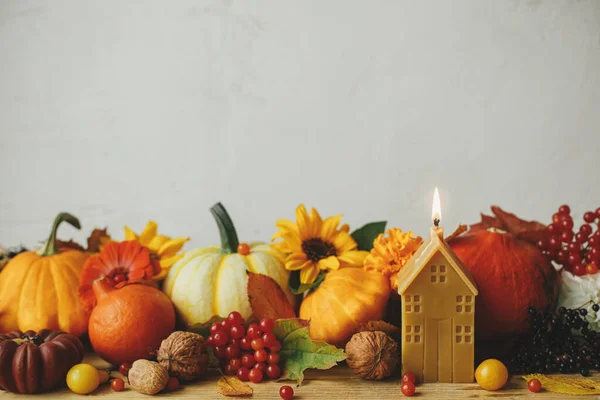 Happy Thanksgiving! Stylish pumpkins, autumn flowers, berries, leaves, candle on wooden table in rustic room. Autumn still life. Seasons greeting card, space for text. Atmospheric banner