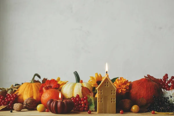 Happy Thanksgiving Stylish Pumpkins Autumn Flowers Berries Leaves Candle Wooden — Stock Photo, Image