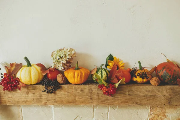 Autumn decor on fireplace in rustic room. Stylish pumpkins, flowers, berries, nuts on rustic wood on stylish fireplace. Harvest at farmhouse, fall decor. Happy Thanksgiving and Halloween
