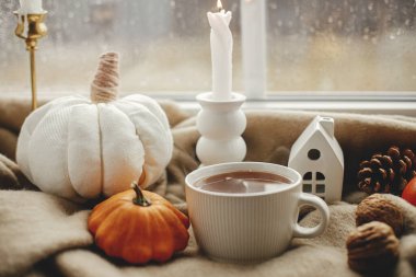 Sıcak bir fincan çay, mum, sıcak yün battaniyenin üzerindeki kabaklar yağmur damlalarıyla kaplı. Huysuz sonbahar duvar kağıdı. Mutlu Şükran Günleri Sonbahar bayrağı. Sıcak sonbahar yağmurlu günü