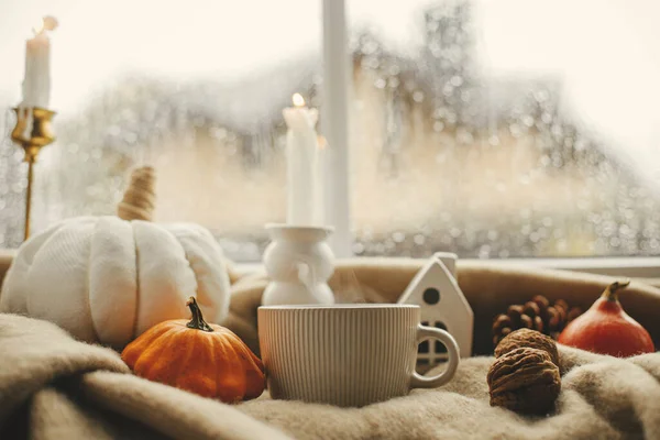 Autumn banner. Stylish warm cup of tea, candle, pumpkins on cozy wool blanket against window with rain drops. Cozy autumn rainy day. Moody fall wallpaper. Happy Thanksgiving