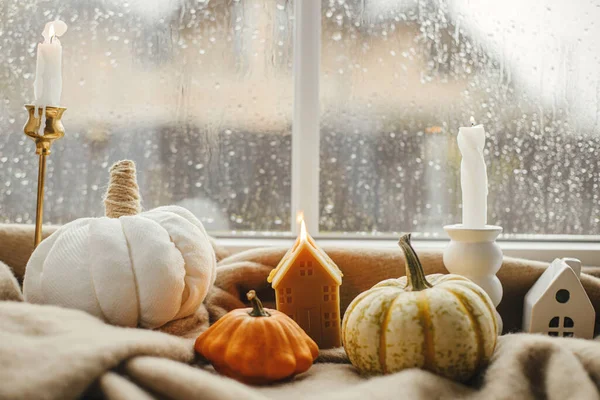 Cozy autumn rainy day. Stylish warm cup of tea, candle, pumpkins on cozy wool blanket against window with rain drops. Autumn banner.  Moody fall wallpaper. Happy Thanksgiving