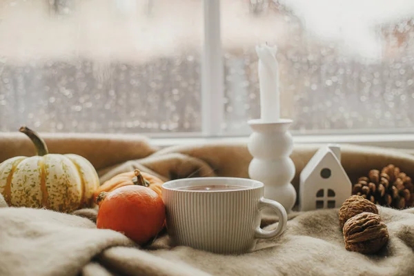 Стильная Теплая Чашка Чая Свечи Тыквы Уютном Шерстяном Одеяле Окна — стоковое фото