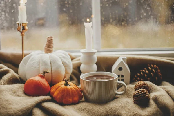 Cozy autumn rainy day. Stylish warm cup of tea, candle, pumpkins on cozy wool blanket against window with rain drops. Autumn banner.  Moody fall wallpaper. Happy Thanksgiving