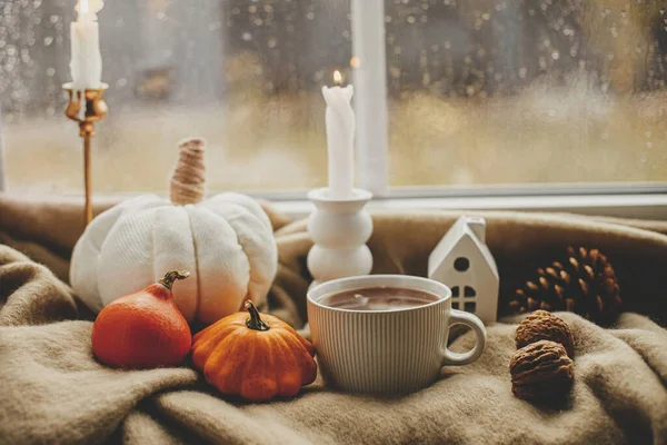 Accogliente Autunno Giornata Piovosa Elegante Tazza Caldo Candela Zucche Accogliente — Foto Stock