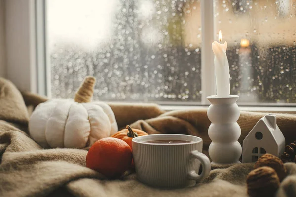 Стильная Теплая Чашка Чая Свечи Тыквы Уютном Шерстяном Одеяле Окна — стоковое фото