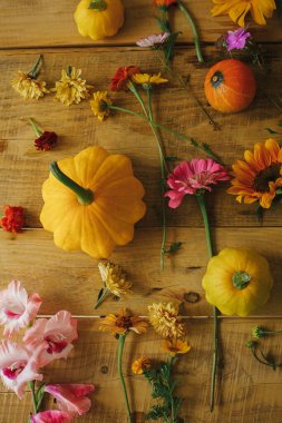 Stylish autumn flat lay. Colorful autumn flowers, pumpkins, pattypan squashes, scissors on rustic wooden table. Seasons greetings. Harvest time in countryside. Happy Thanksgiving! Hello Fall
