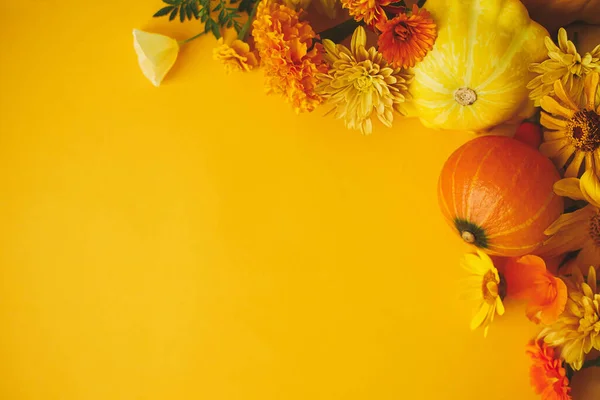 Happy Thanksgiving Stylish Autumn Composition Yellow Background Colorful Autumn Flowers — Stockfoto