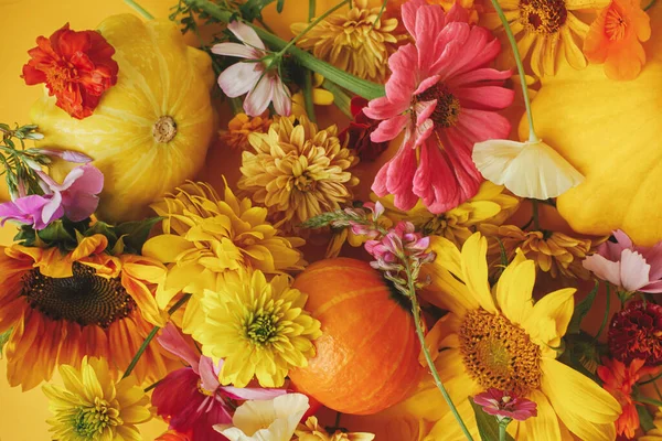 Χρόνος Συγκομιδής Στην Ύπαιθρο Γεια Σας Πτώση Πολύχρωμα Φθινοπωρινά Λουλούδια — Φωτογραφία Αρχείου