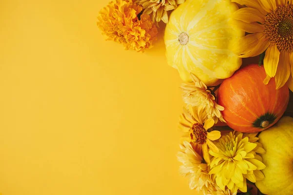Fijne Thanksgiving Kleurrijke Herfstbloemen Pompoenen Pattypan Squashes Plat Lag Gele — Stockfoto