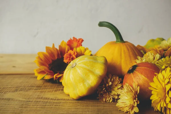 Stylish Autumn Composition Rustic Background Colorful Autumn Flowers Pumpkins Pattypan — Stockfoto