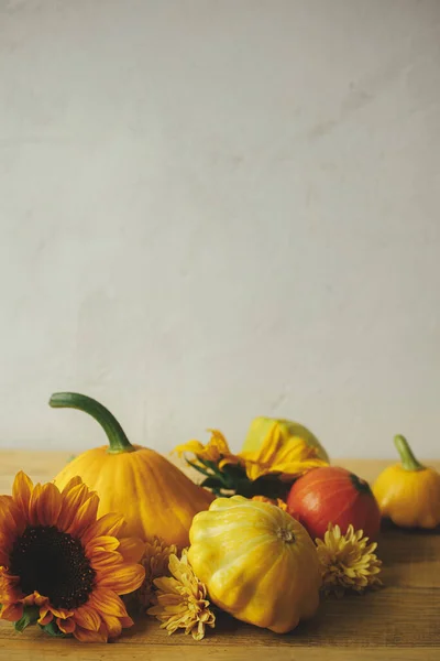 Happy Thanksgiving! Colorful autumn flowers, pumpkins, pattypan squashes on wooden table against rustic background. Atmospheric autumn still life. Seasons greeting card, space for text