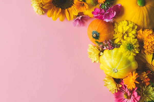 Stilvolle Herbstflache Lag Bunte Herbstblumen Kürbisse Pattypan Kürbis Auf Rosa — Stockfoto