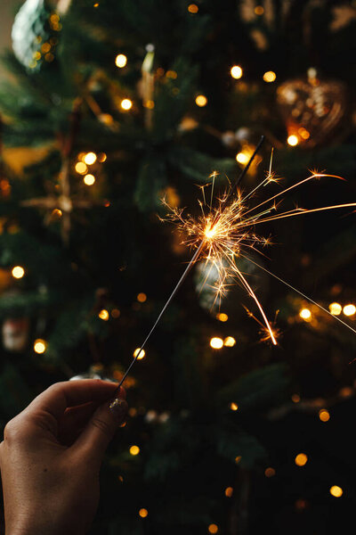 Burning sparkler in female hand on background of christmas tree lights in dark room. Happy New Year! Hand holding firework against stylish decorated tree with illumination. Atmospheric time