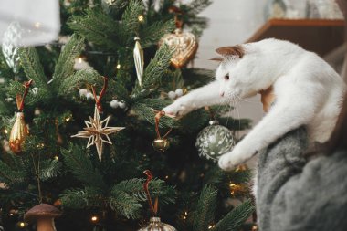 Şirin bir kedi ve şık bir Noel ağacı süsleyen bir kadın klasik takılarla. Hayvan ve kış tatilleri. Hoş kazaklı bir kadın festival odasında sevimli kediciğe sarılıyor. Mutlu Noeller.!