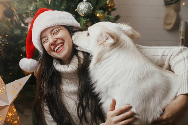 Aranyos Kutya Játszik Tulajdonossal Stílusos Karácsonyfán Háziállat Téli Szünet Boldog — Stock Fotó