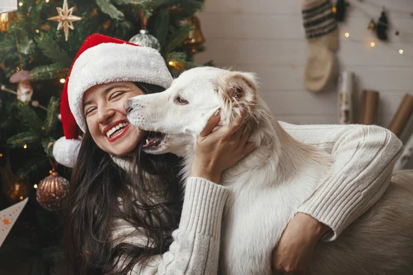 圣诞快乐 在时尚的圣诞树前 戴着圣诞礼帽的快乐女人拥抱着可爱的小狗 宠物和寒假 在喜庆的房间里和主人一起玩耍的可爱的 滑稽的 白色的小飞毛腿狗 — 图库照片