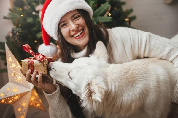 圣诞快乐 戴着圣诞礼帽的快乐女人带着可爱的小狗在时尚的圣诞树前共度圣诞 宠物和寒假 在喜庆的房间里 和主人在一起的那只可爱的 滑稽的白色小飞毛腿狗 — 图库照片